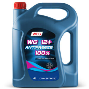 WG-12 PLUS ANTIFREEZE 100%